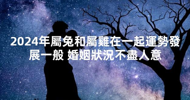 2024年屬兔和屬雞在一起運勢發展一般 婚姻狀況不盡人意